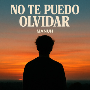 No Te Puedo Olvidar
