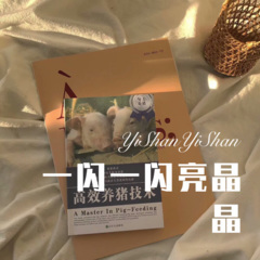 我的看守所 (Remix)