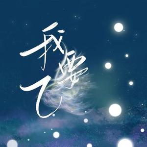 我要飞  (Live) (Cover TOP登陆少年组合)