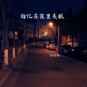 回忆在夜里失眠