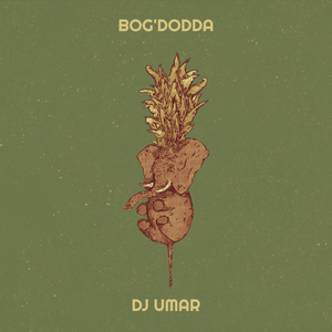 Bog'dodda