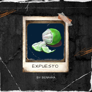 Expuesto