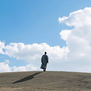 风与纸船