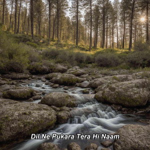 Dil Ne Pukara Tera Hi Naam