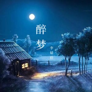 《陈情令》插曲《醉梦》古琴版