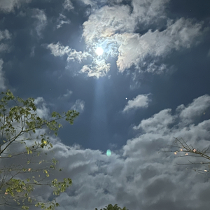 短暂相识后的遗憾爱恋