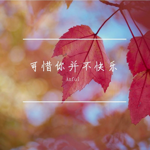 可惜你并不快乐