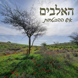 איש ההבטחות