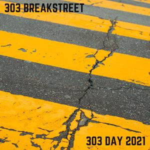 Disco Monkeys [303BSDIGI04]