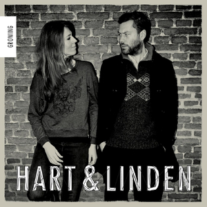 Terms and Conditions