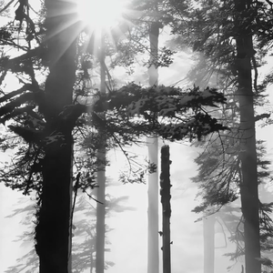 孤单心事（remix）