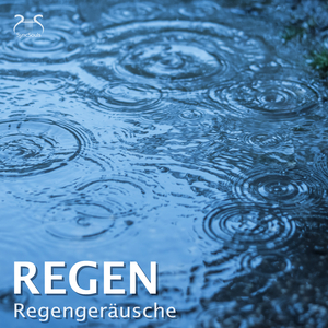 Regen am frühen Morgen - Geräusch leichter Morgenregen