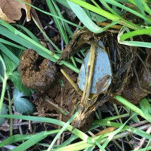 I Don't Know (feat. Kam Houff)