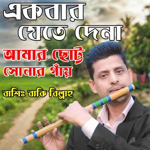 একবার যেতে দেনা আমার ছোট্ট সোনার গাঁয়