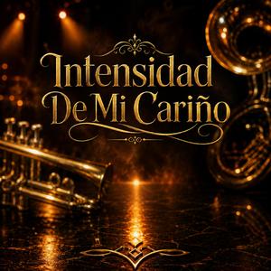 Intensidad de mi cariño