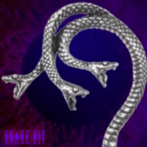 Snake Bit