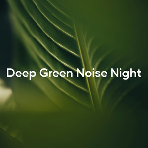 Deep Night Noise