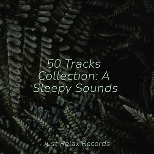 Whispering Petals' Siren Song