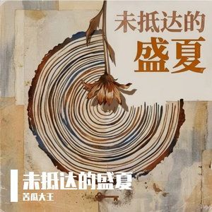 未抵达的盛夏