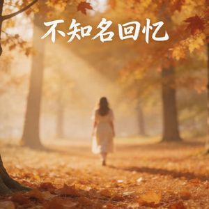 不知名回忆（曾为伤声填词）