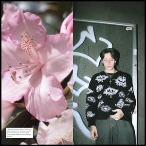 Dolly (feat. Leech Orphan)