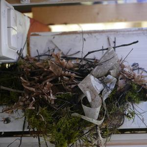 Prolog slut, Kapitel 1 och 2 P.S. Bakom stängda dörrar ed 3