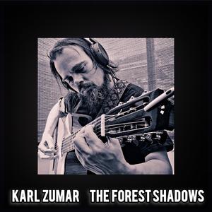 The Forest Shadows (Radio Edit)