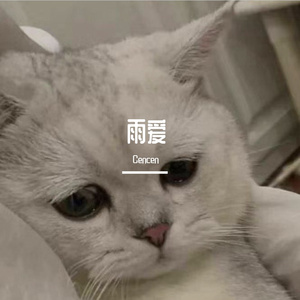 你还怕大雨吗（翻自 万能青年）