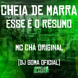Cheia de Marra - Esse É o Resumo