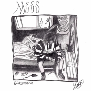 Mess