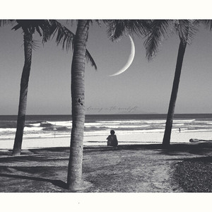 Dancing in the moonlight