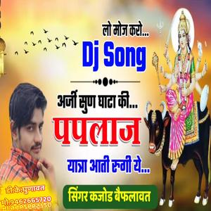 अर्जी सुण घाटाली पपलाज यात्रा आती रूहंगी ये Paplaj Mata Special Song (feat. Kajod Baiplawat)