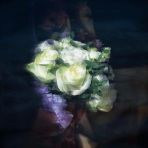 【Free】Lofi by Shark