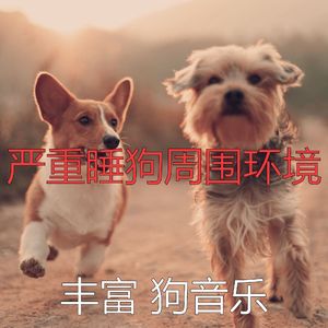抚慰的训练犬回忆
