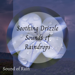 Springtime In The Rain Chamber