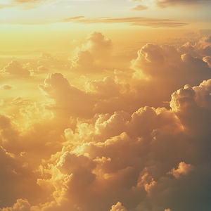 Dream