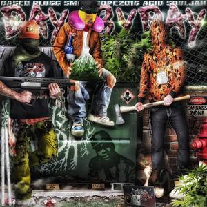 Day by Day (feat. Acid Souljah & SMOKEDOPE2016)
