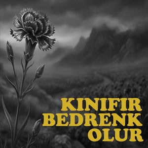 Kınıfır Bedrenk Olur