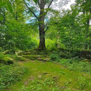 zůstaň (EDM Version)