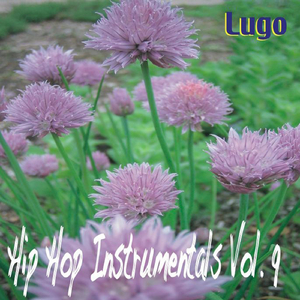 What Are you Worth (Country hoky dokey Hits)