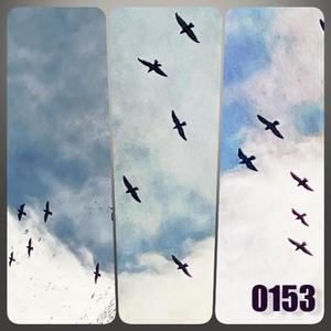 タイムラプス (feat. Seela) (Tropicalapse Version)