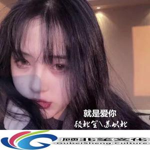 陶喆-就是爱你 (DJ版)（顾北笙 remix）