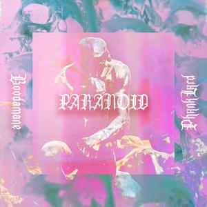 Paranoid (feat. Boodamane)