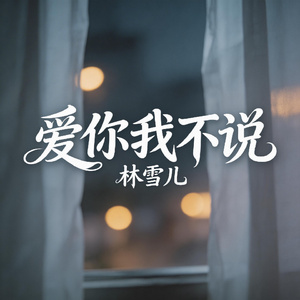 爱你我不说