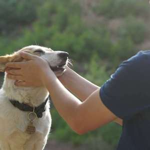 为什么你们都爱口水歌其实真是我瞎写的正好最近世外陶园的王老师每次见我都吵吵着让我给她送首歌