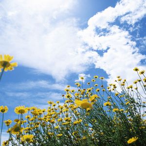 漂洋过海来看你