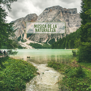 Maravillosos Momentos de Relax