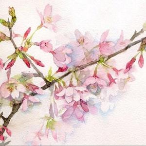 相思遥（初见她 漫步溪桥下）