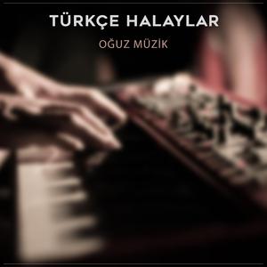 Türkçe Halaylar Yeni (feat. Oğuz Müzik)