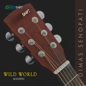 Wild World (Acoustic)